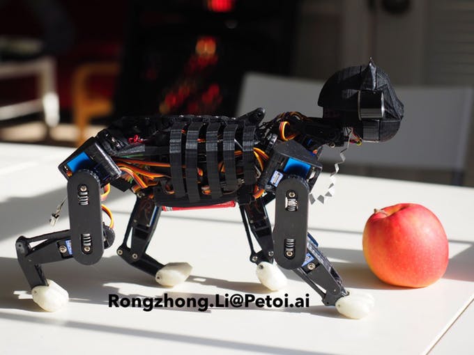 Image d'Opencat, le chat robot est en train de marcher devant une pomme